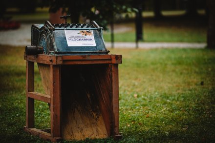 Dożynki 2025 fot. Daniel Franek